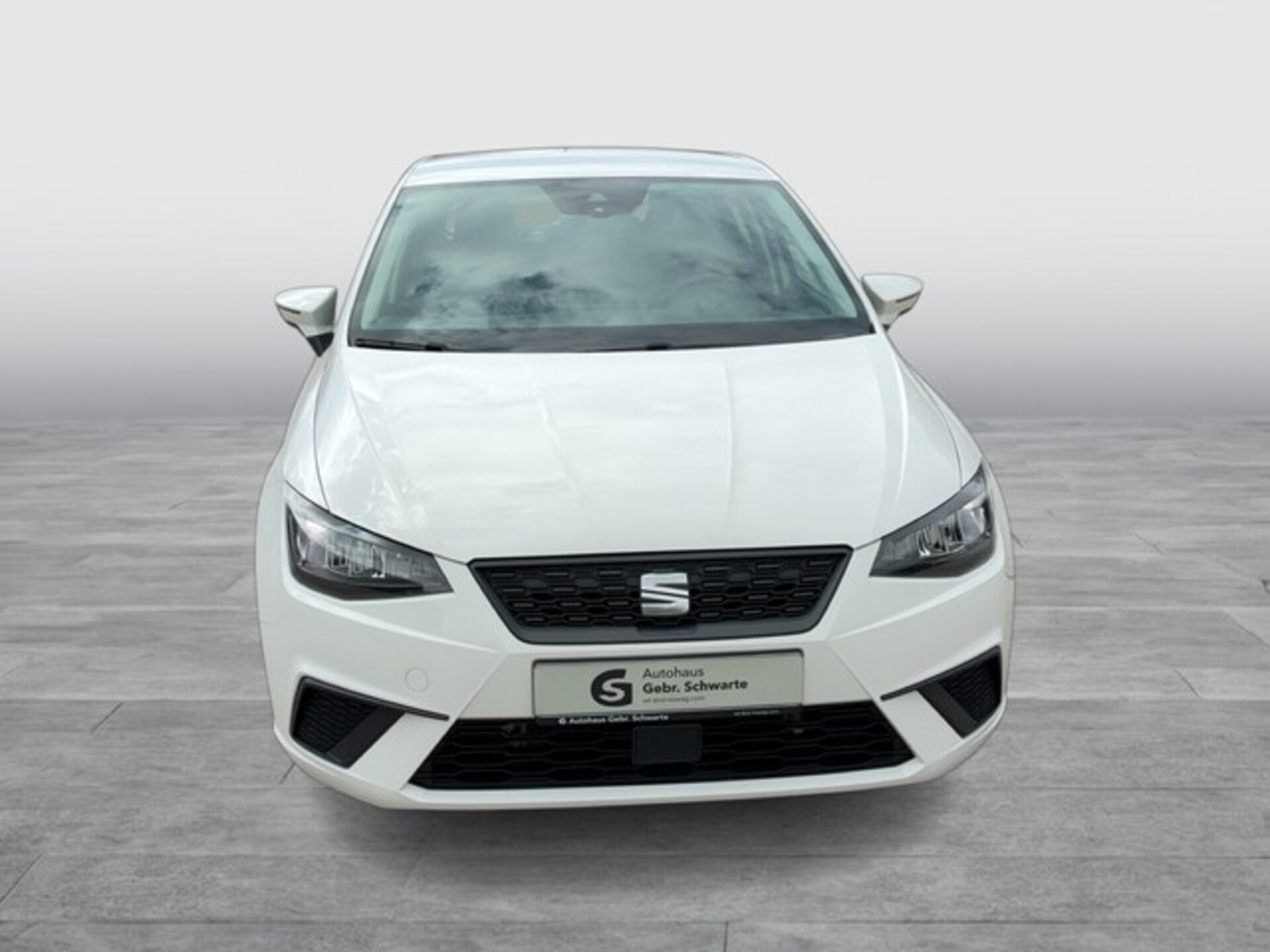 SEAT Ibiza Style