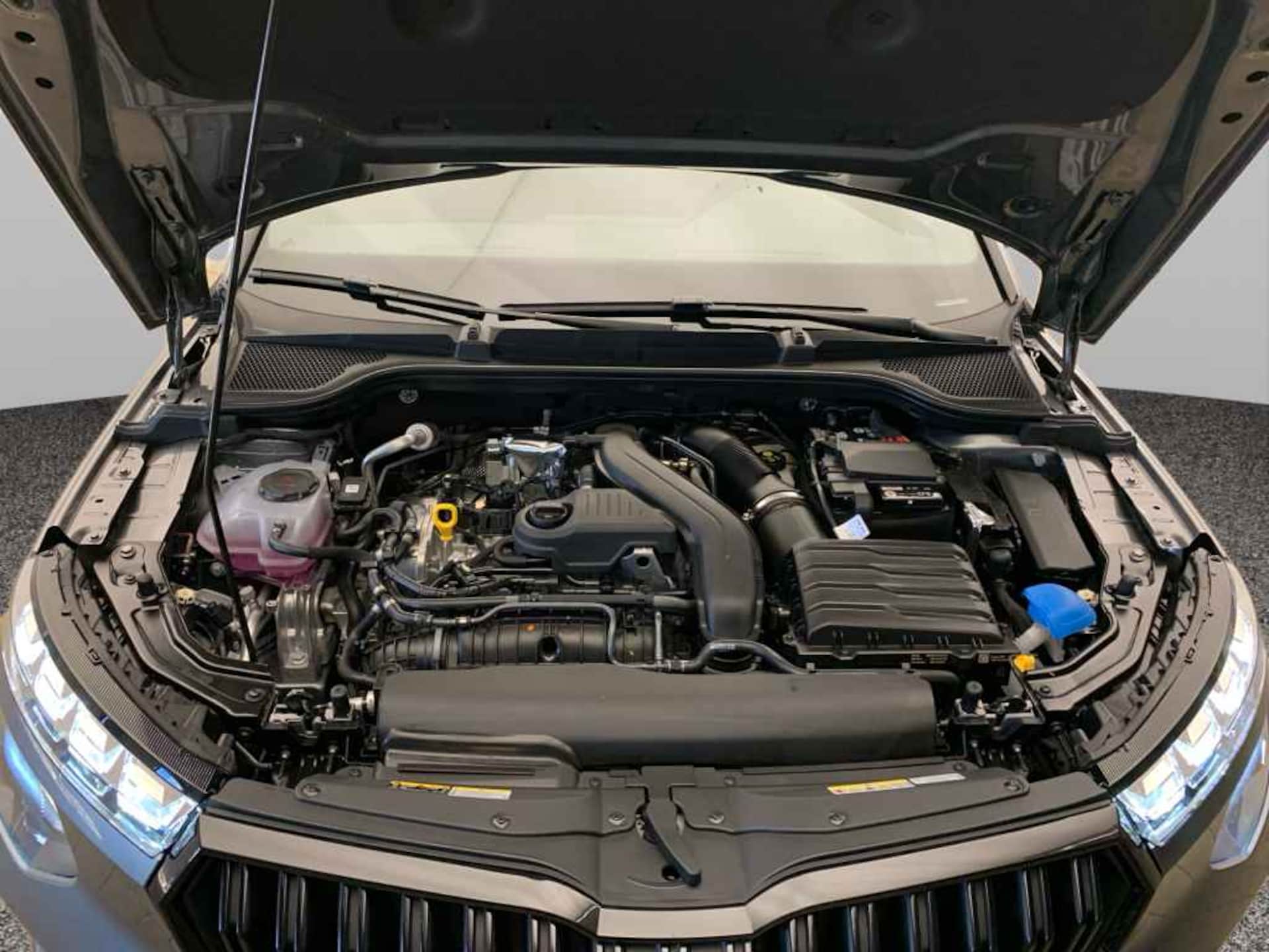 Skoda Kamiq Monte Carlo