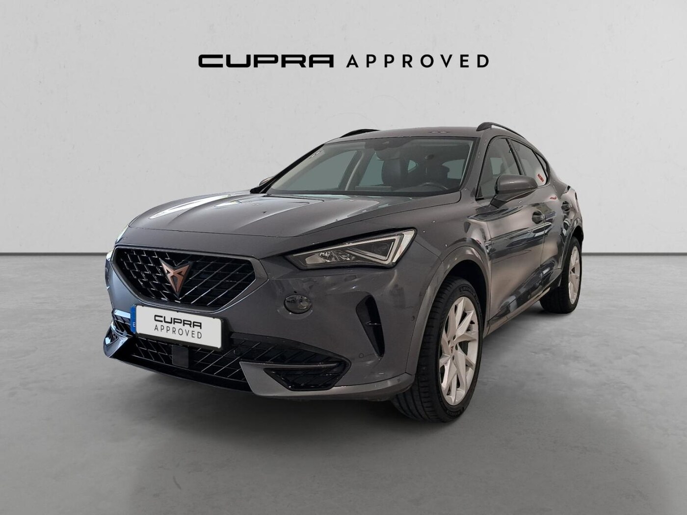 CUPRA Formentor 1.5 eTSI DSG 110 kW (150 CV) — photo 13
