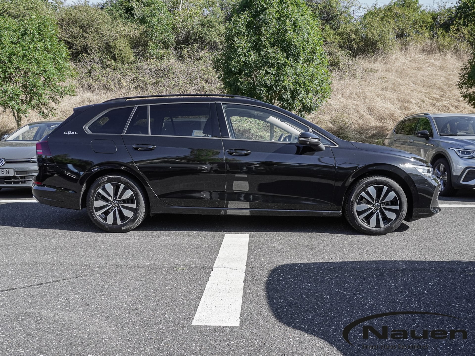 Volkswagen Golf Variant Goal
