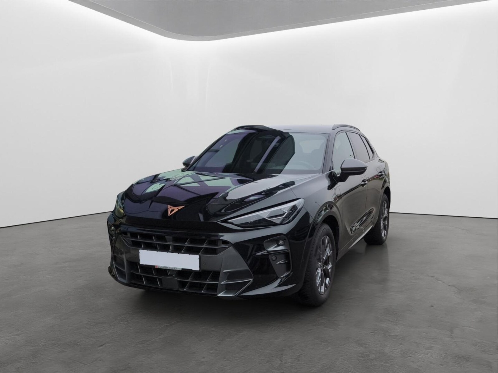 CUPRA Terramar – Bild 2