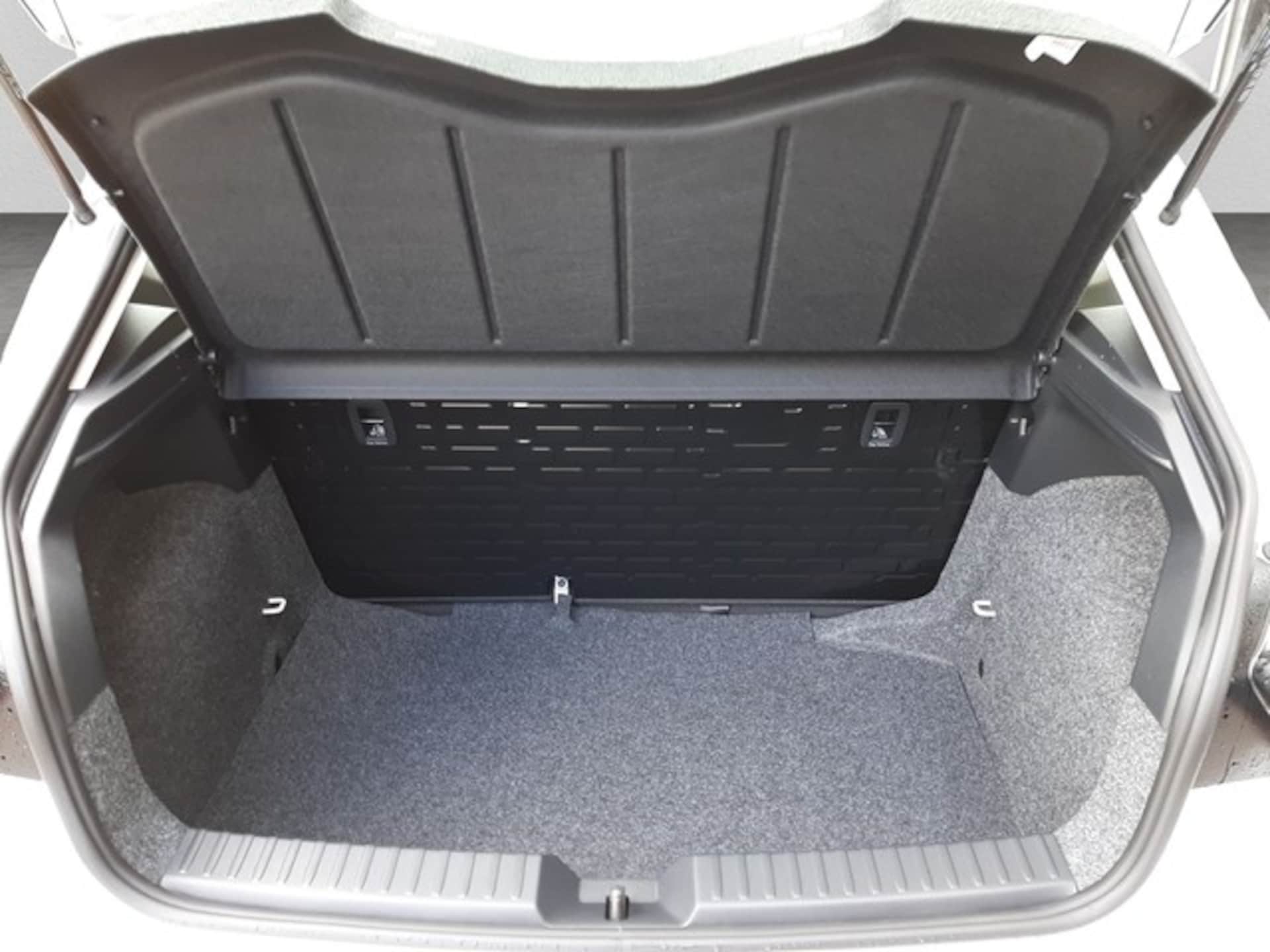 SEAT Ibiza Reference