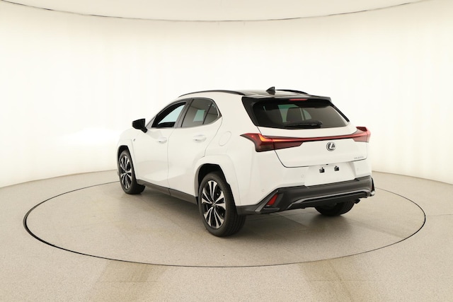 2025 Lexus UX 300h