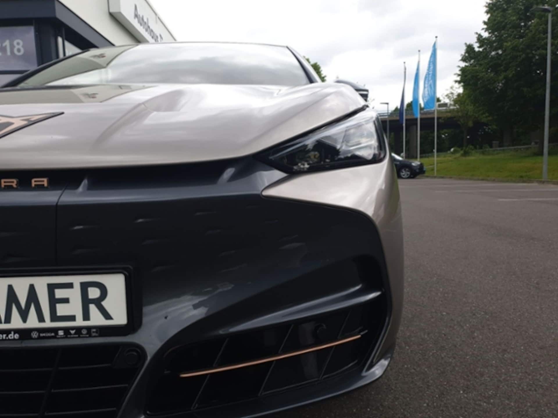 CUPRA Tavascan Endurance
