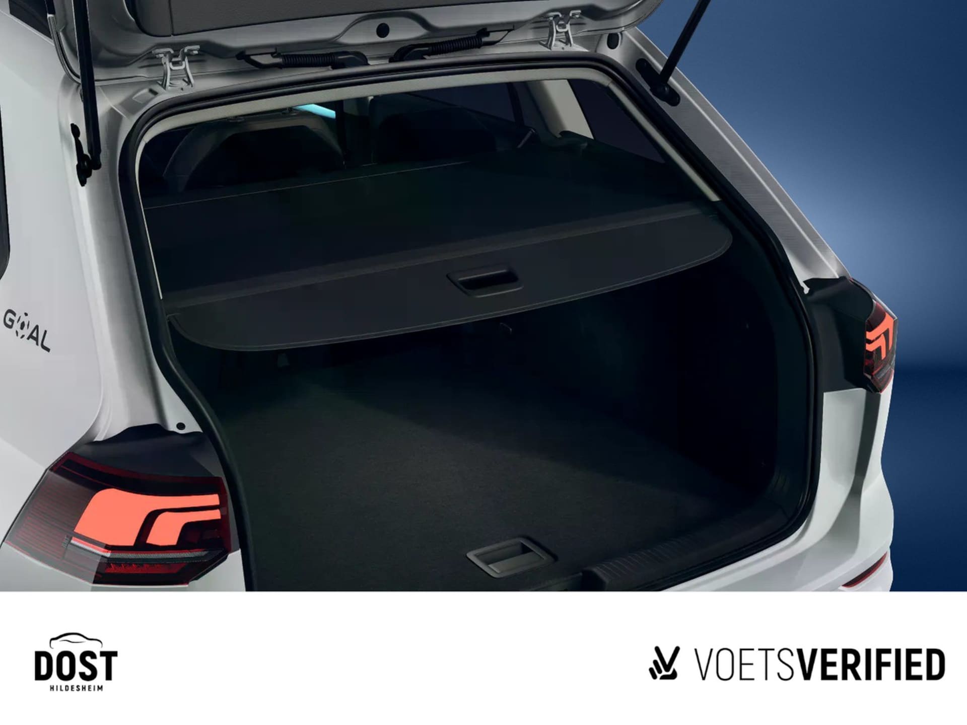 Volkswagen Golf Variant Goal