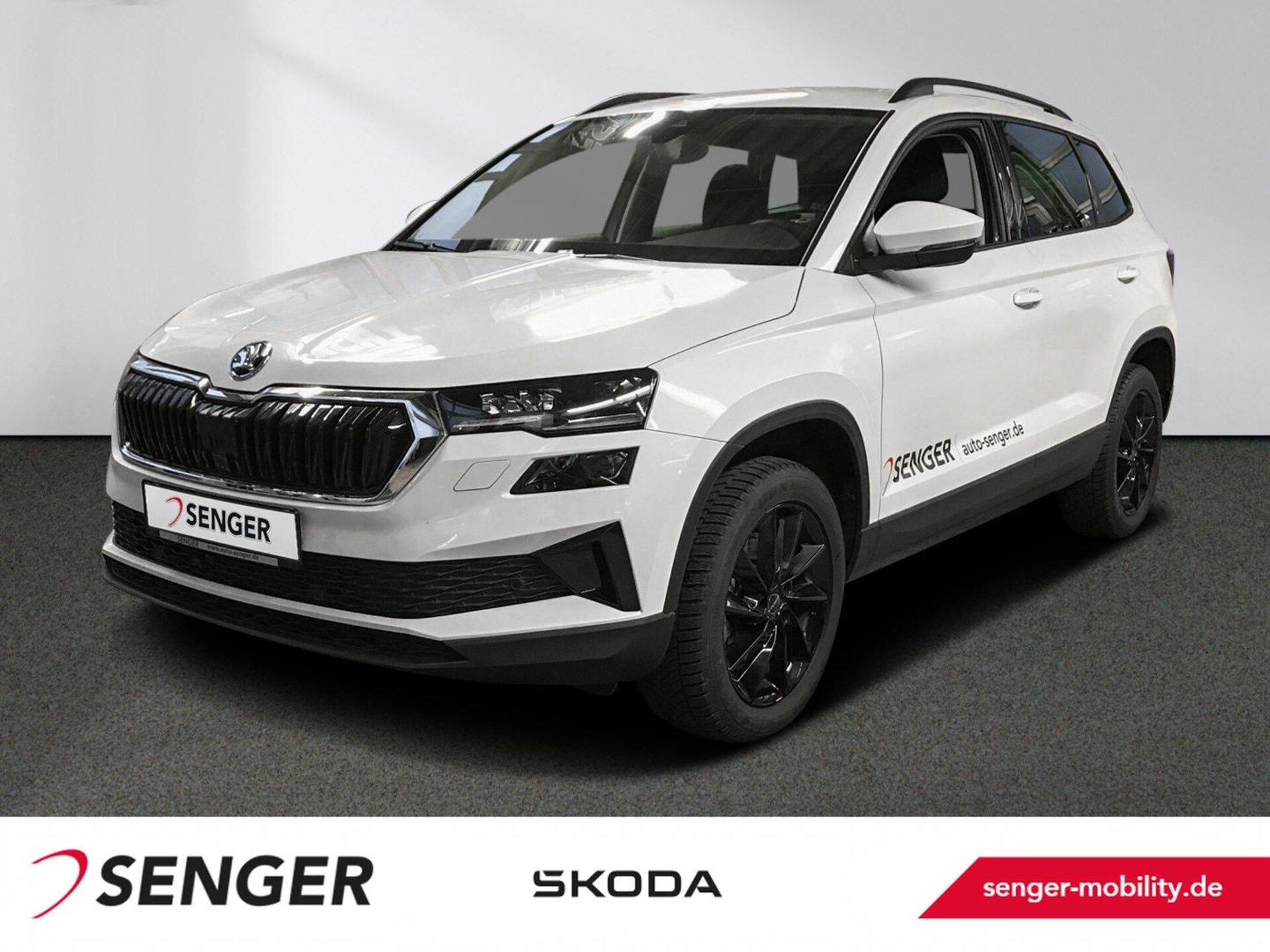 Skoda Karoq Selection