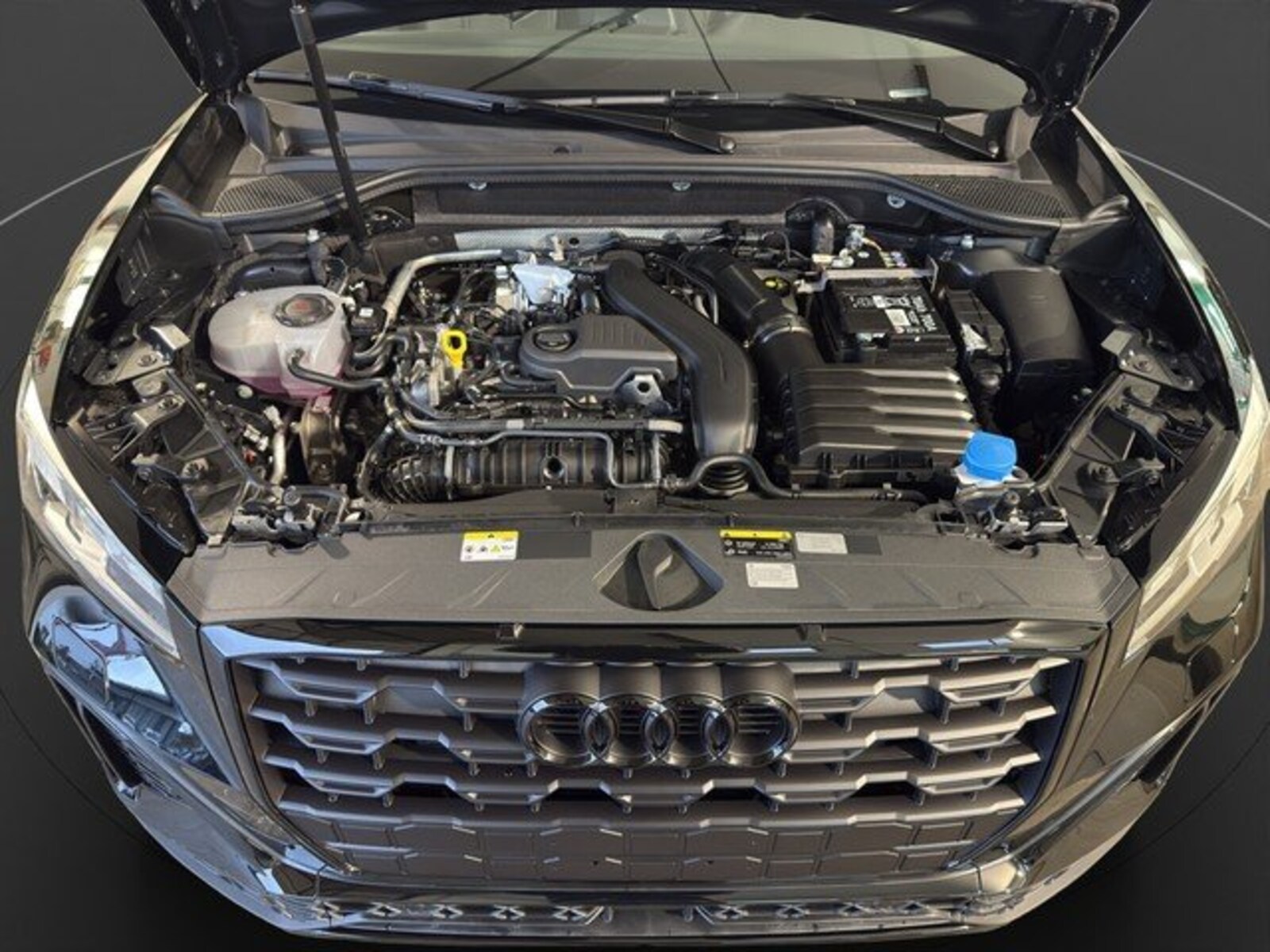 Audi Q2 – Bild 15