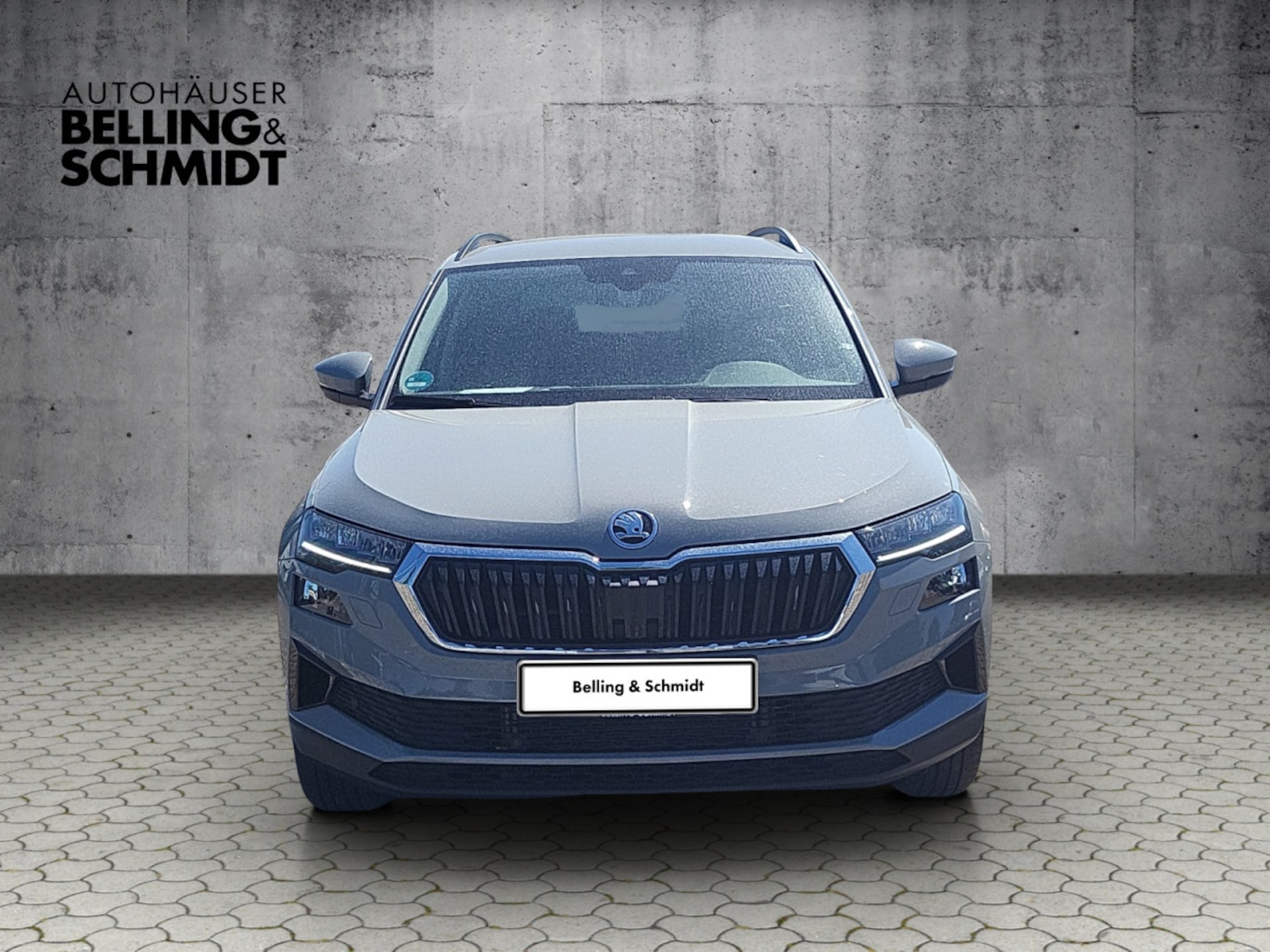 Skoda Karoq Selection
