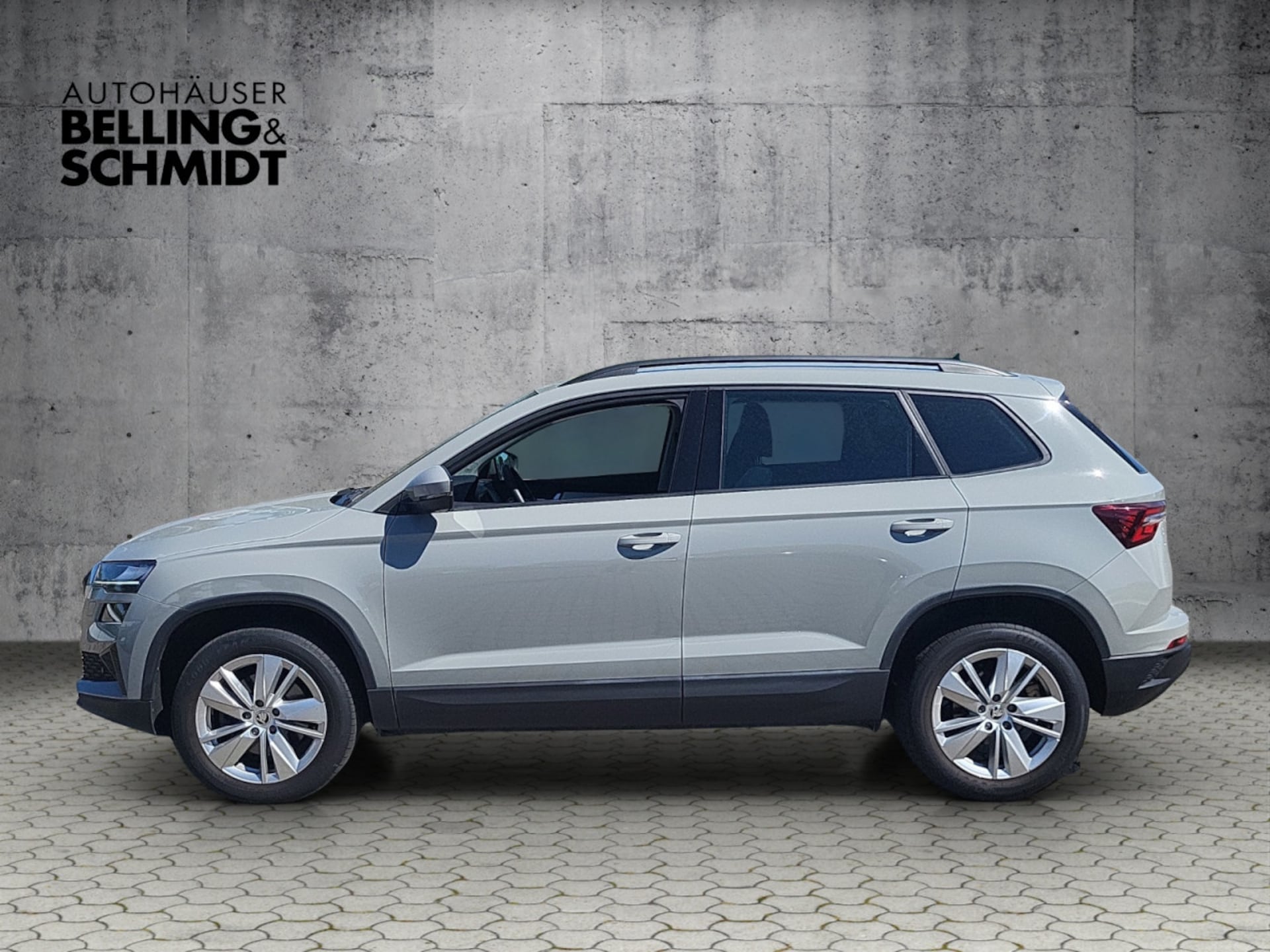 Skoda Karoq Selection