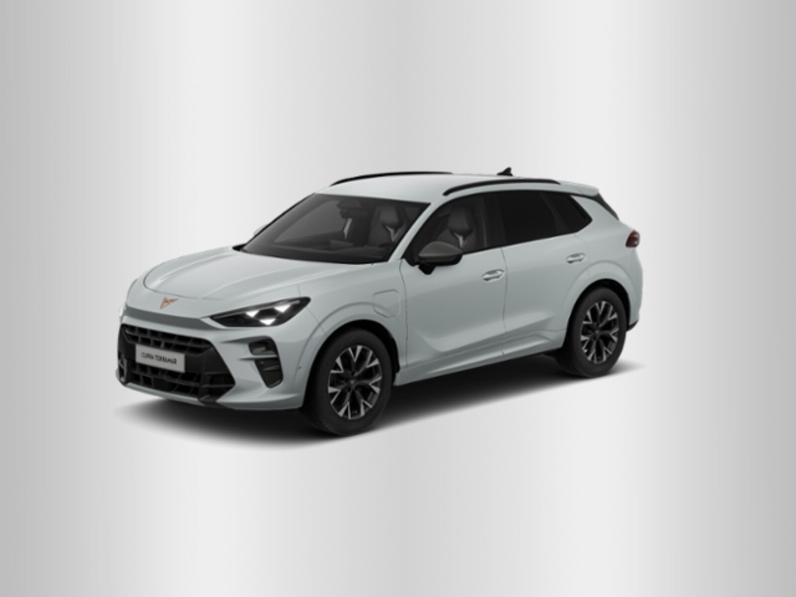CUPRA Terramar – Bild 2