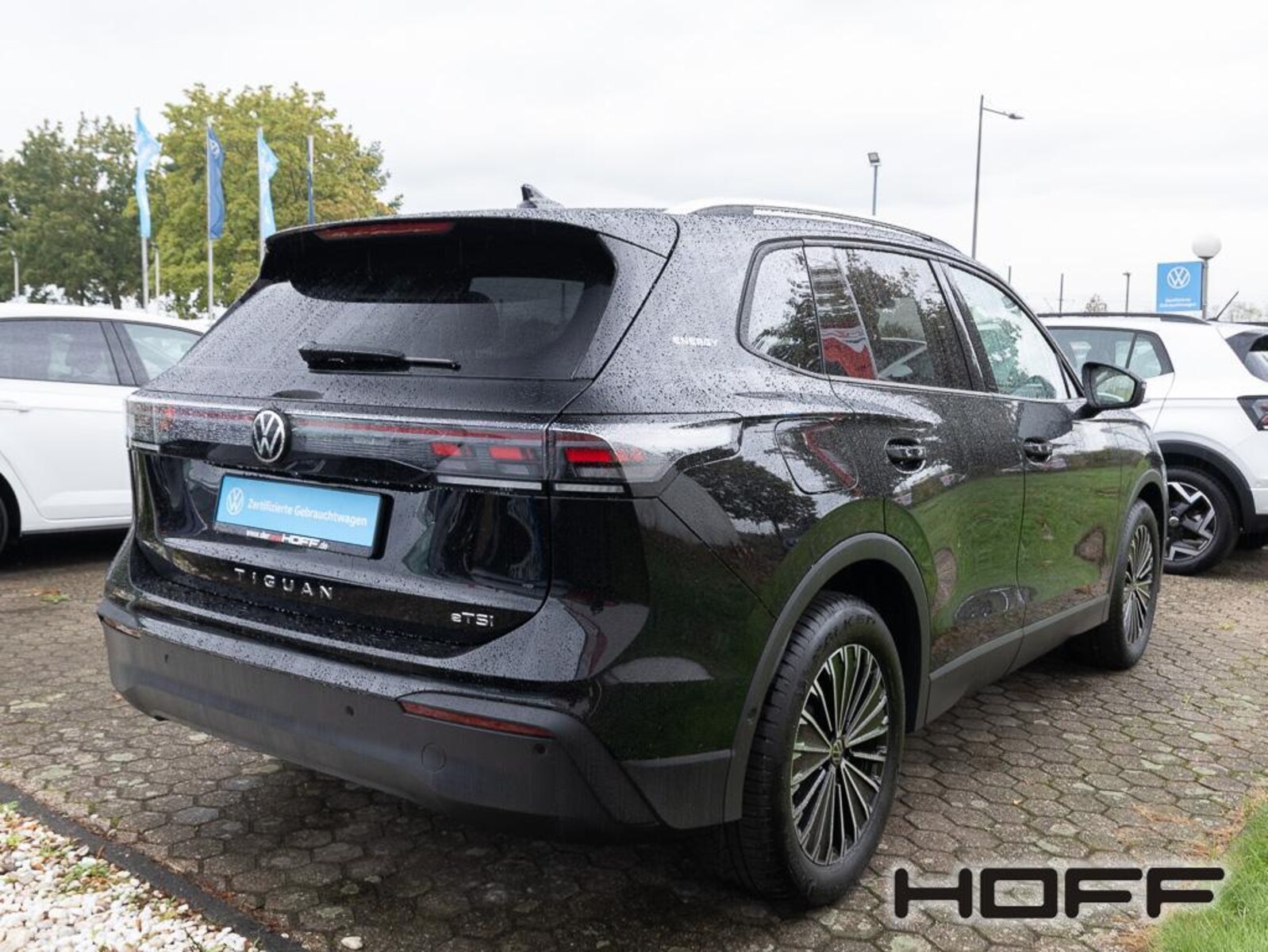 Volkswagen Tiguan – Bild 2
