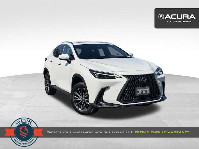 2024 Lexus NX 250