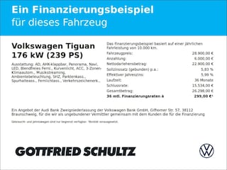 zweites Vorschaubild