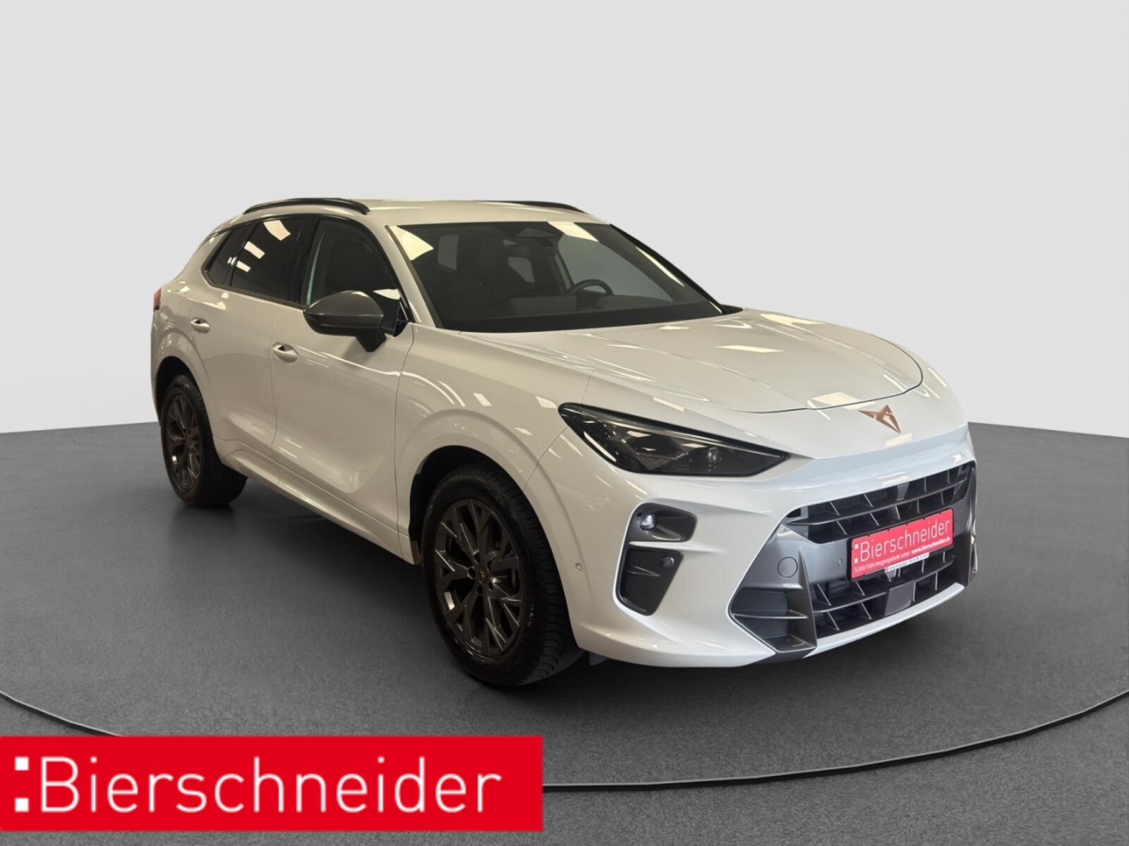 CUPRA Terramar – Bild 4