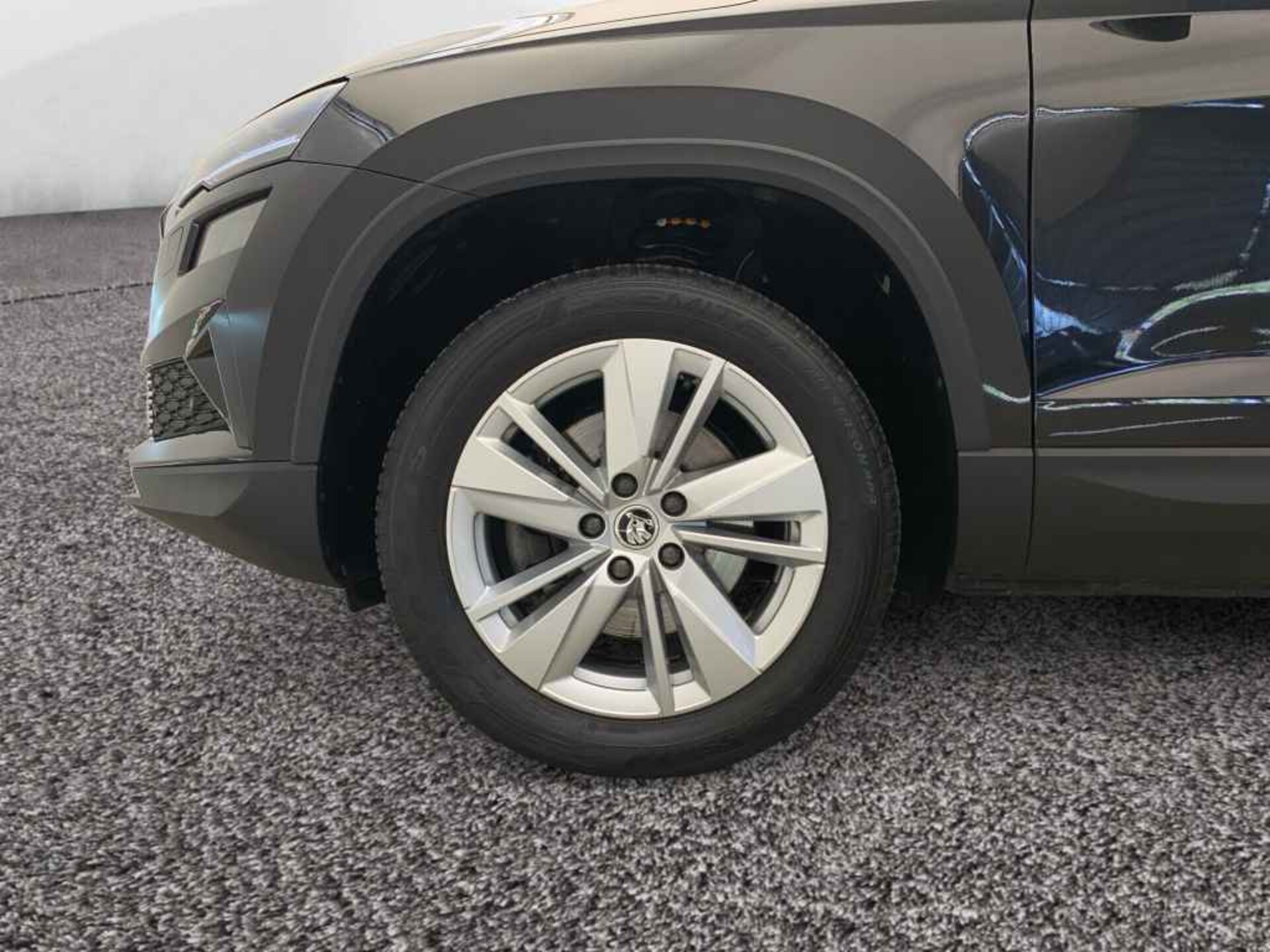 Skoda Karoq Selection