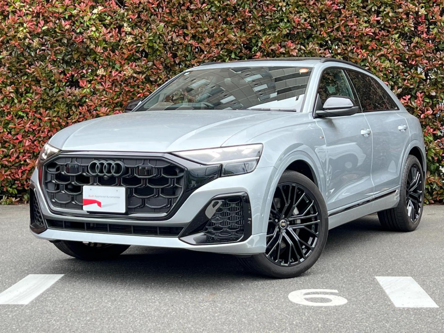 Audi Q8 SUV 55 TFSI quattro S line 250(340) kW(PS) tiptronic for more details contact your dealer