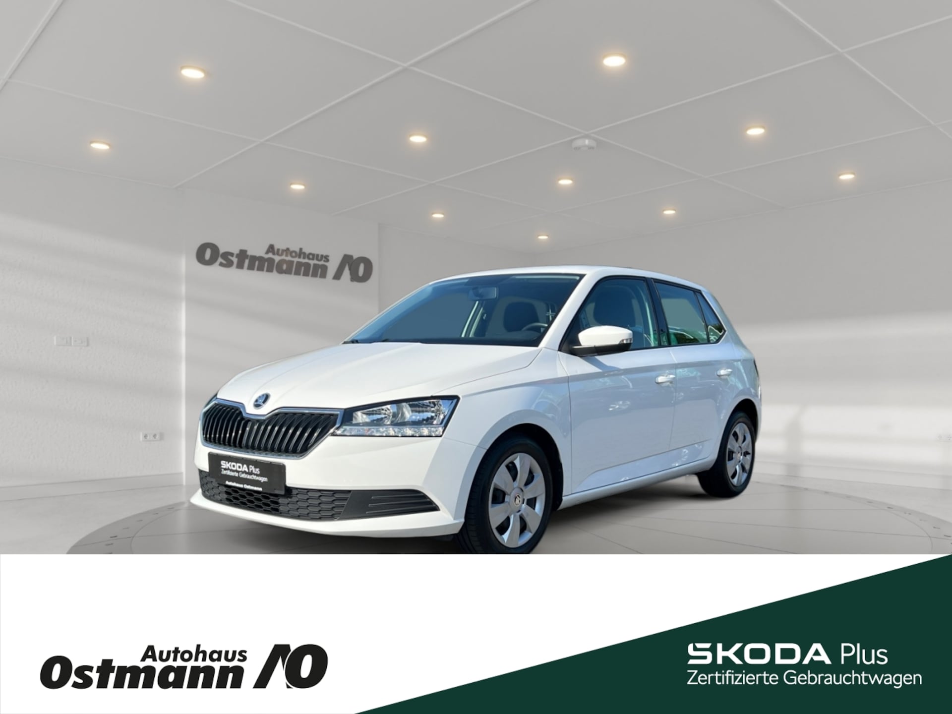 Skoda Fabia Cool Plus