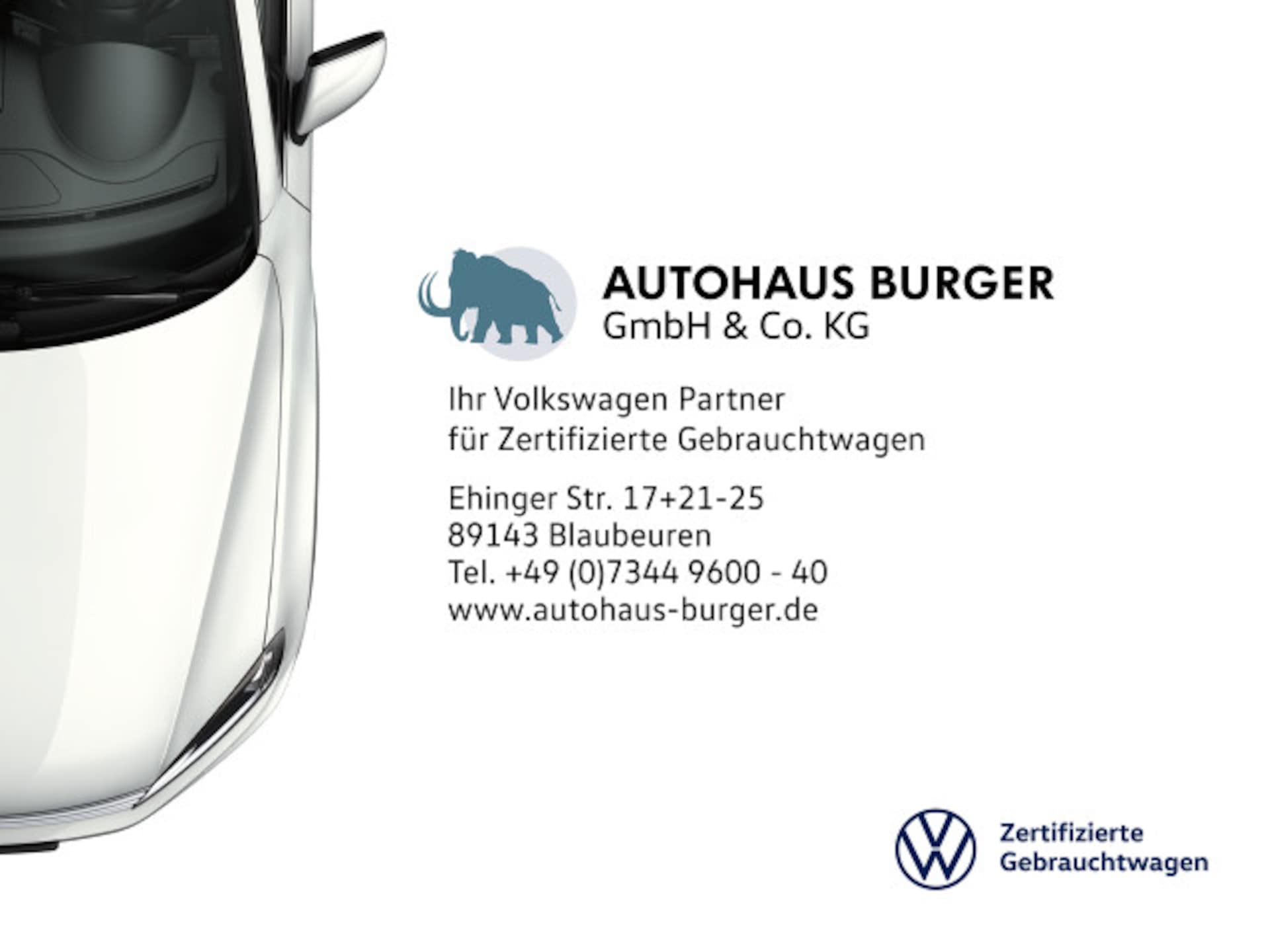 Volkswagen Passat Variant Business