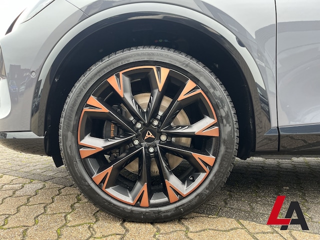 Bild des Autos 13