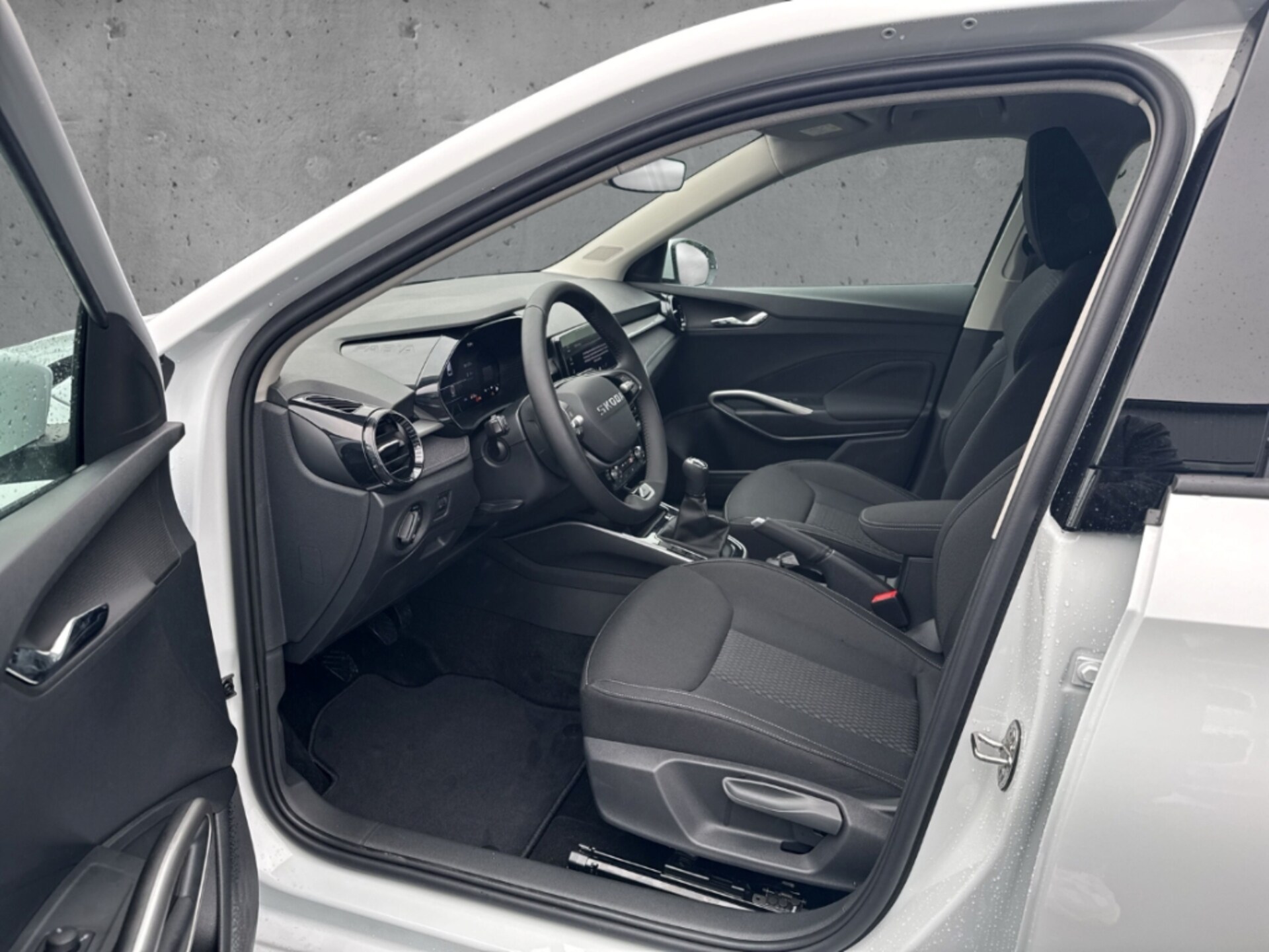 Skoda Fabia Selection