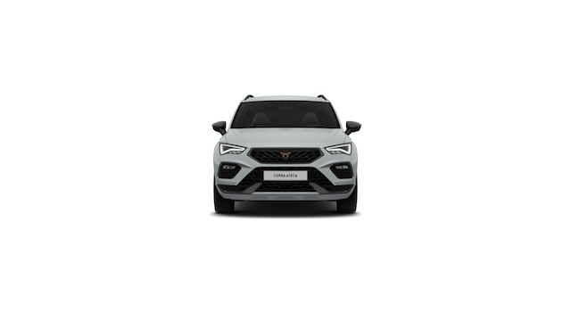 Bild des Autos 3