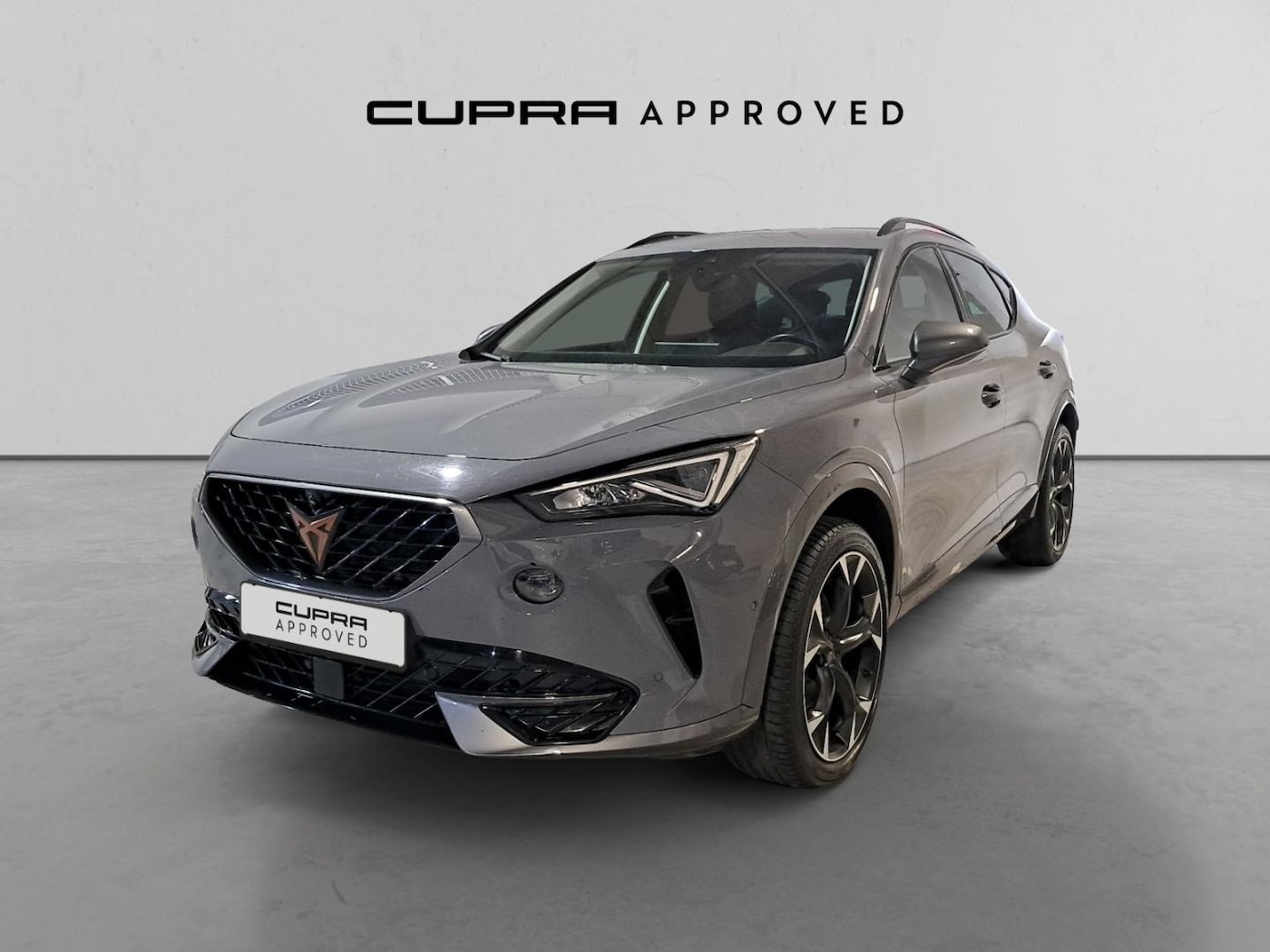 CUPRA Formentor 1.5 eTSI DSG 110 kW (150 CV) — photo 13