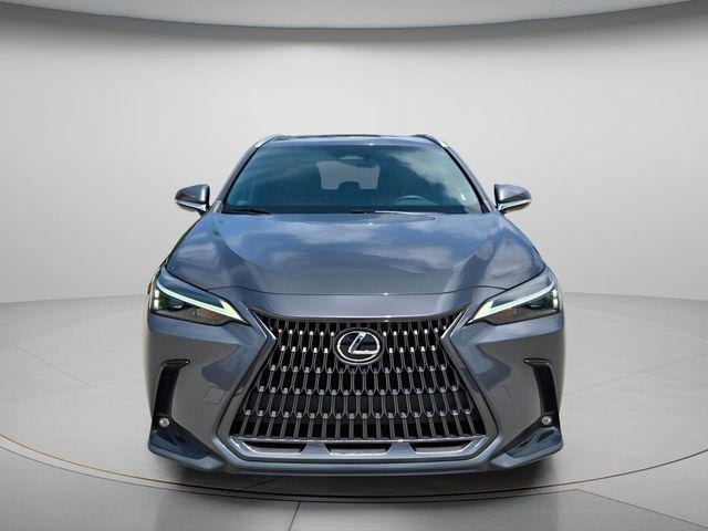 2024 Lexus NX 250