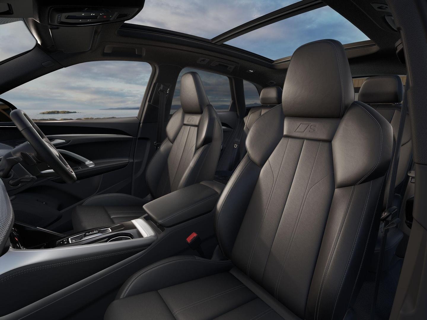 Image about Audi SQ5 SUV TFSI 270 kW edition one