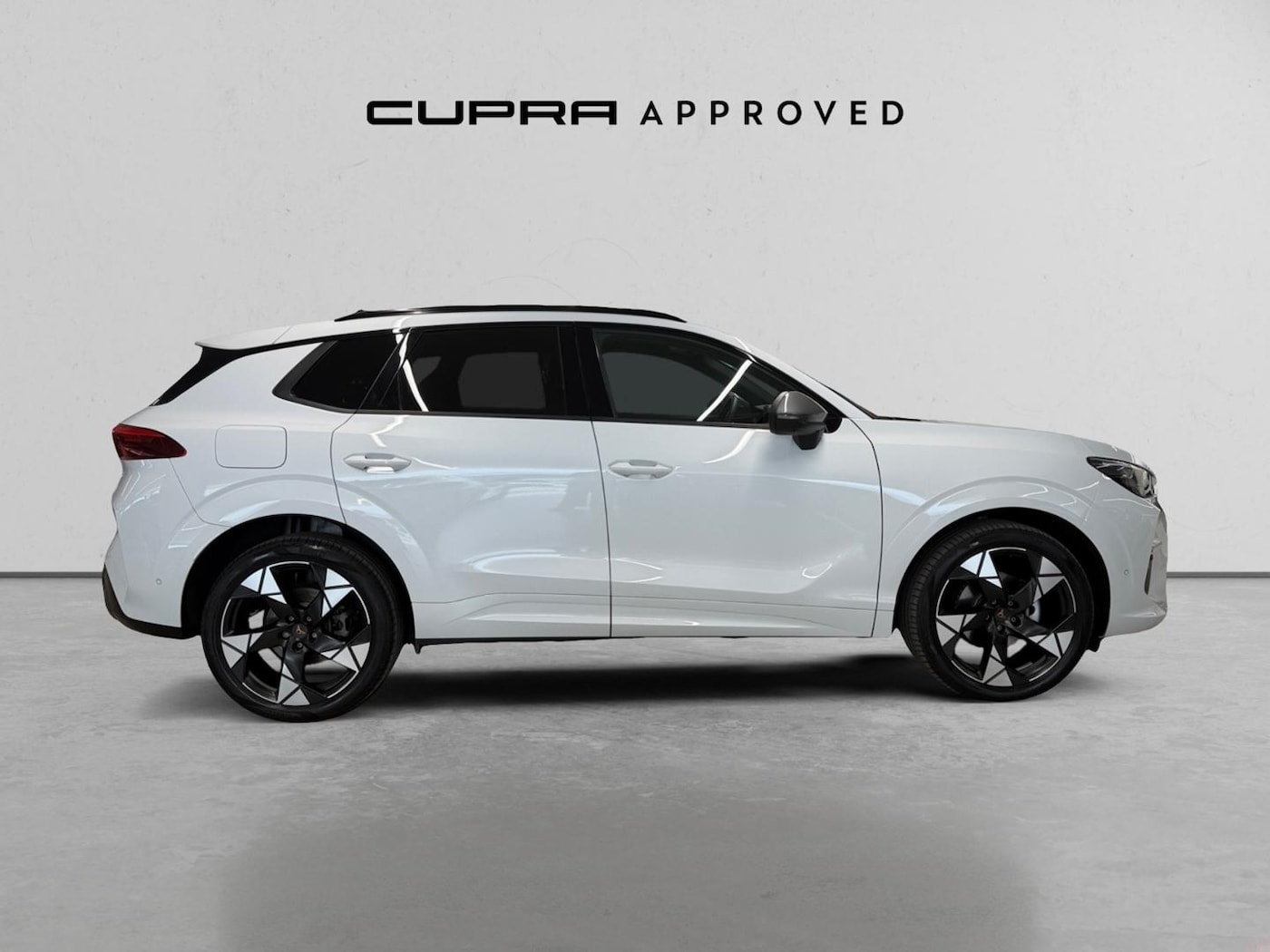 CUPRA Terramar 1.5 eTSI DSG 110 kW (150 CV) — photo 3
