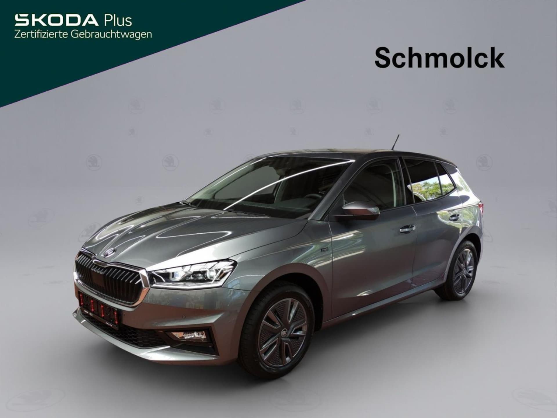 Skoda Fabia Tour