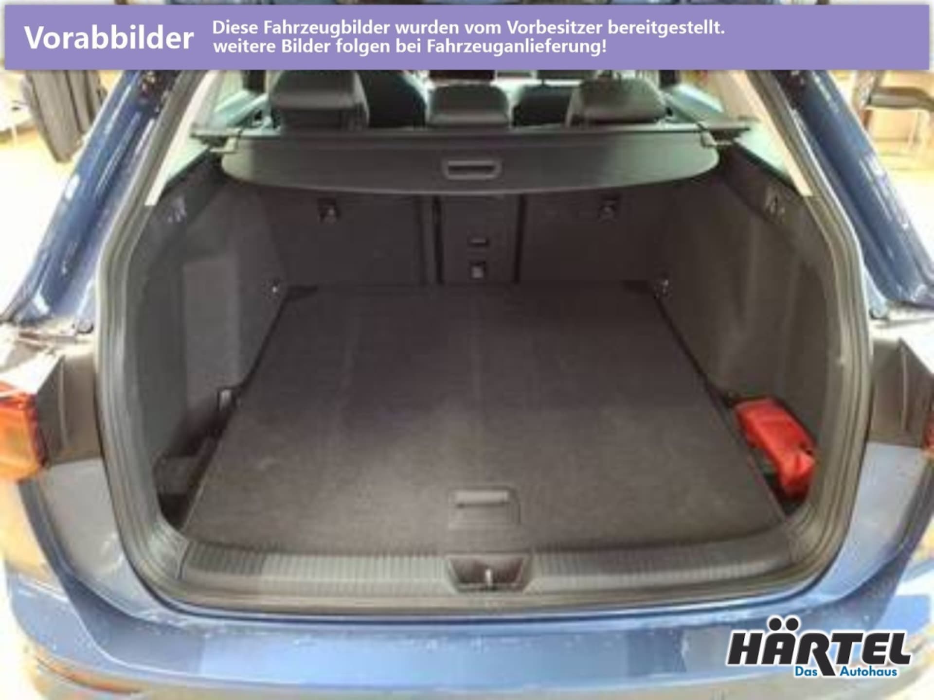 Volkswagen Golf Variant Goal