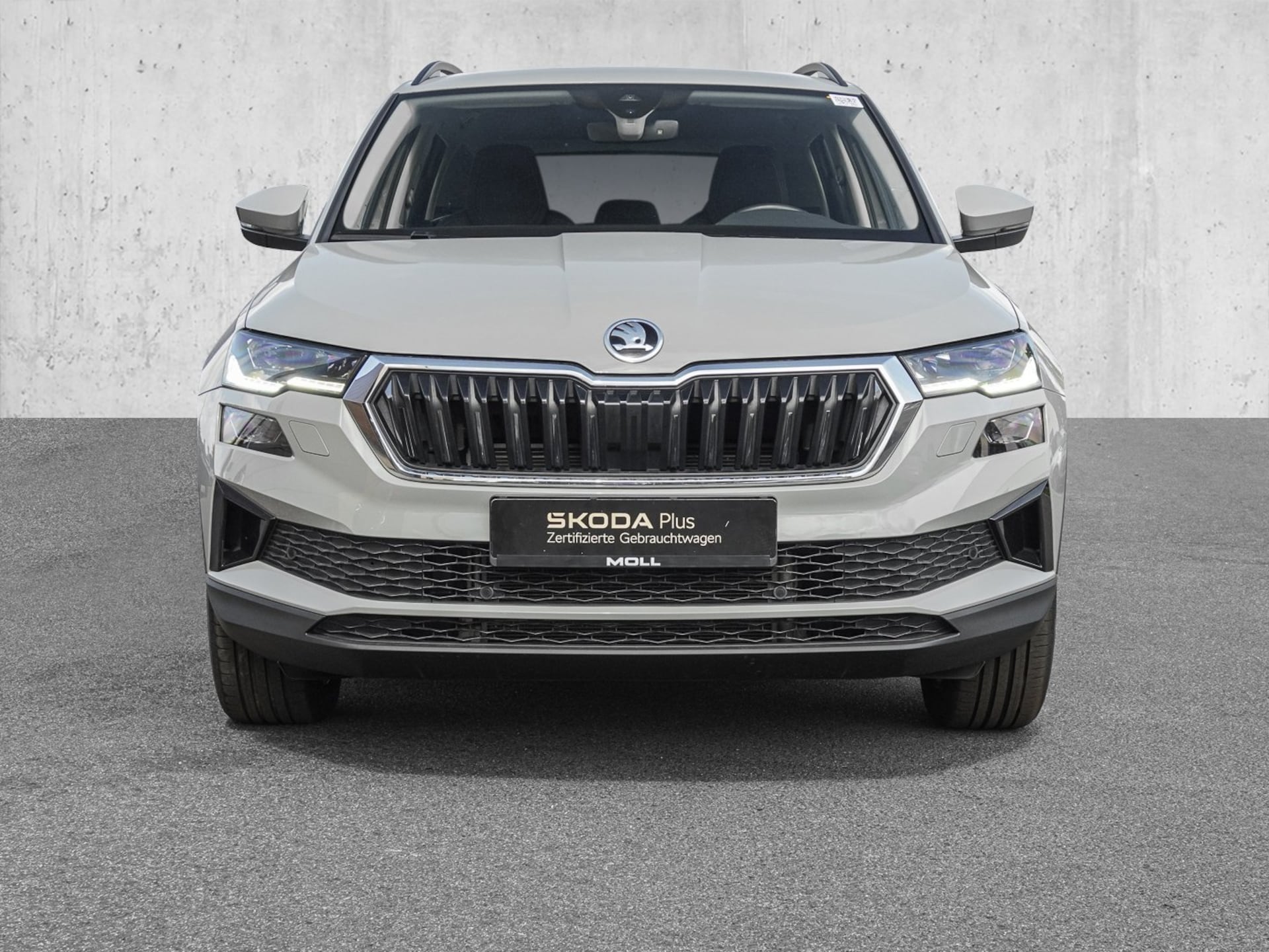 Skoda Karoq Selection