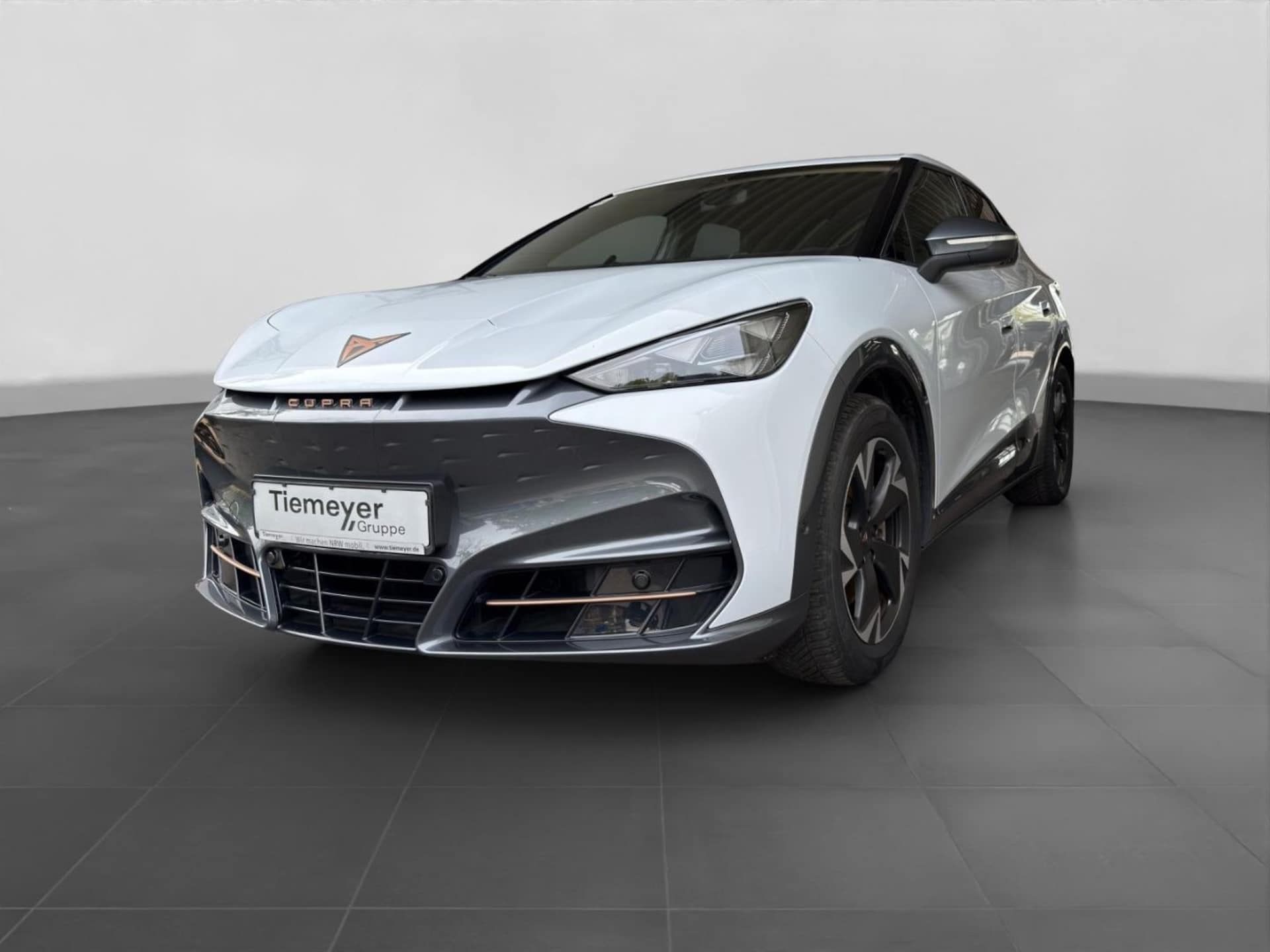 CUPRA Tavascan Endurance
