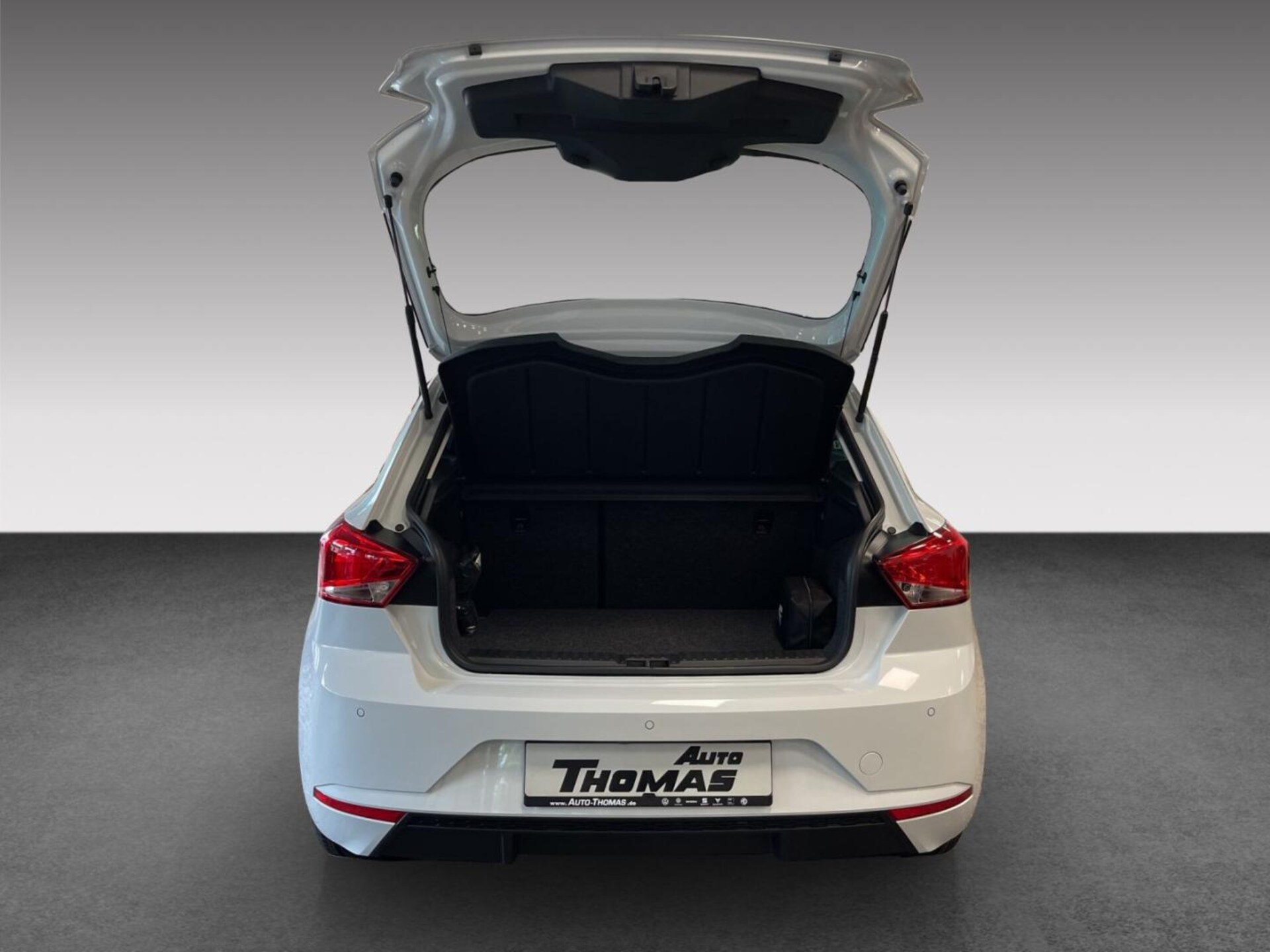 SEAT Ibiza Style