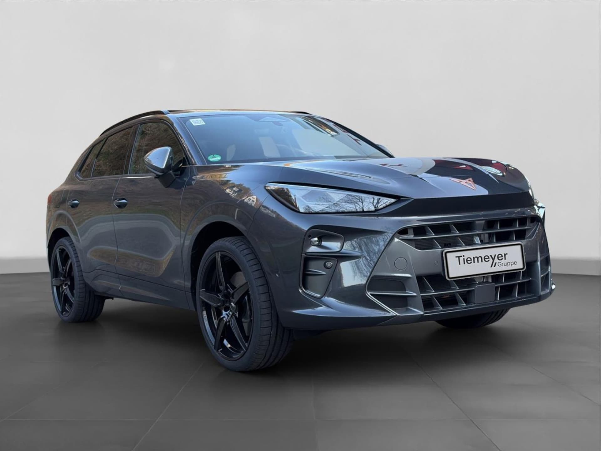 CUPRA Terramar VZ