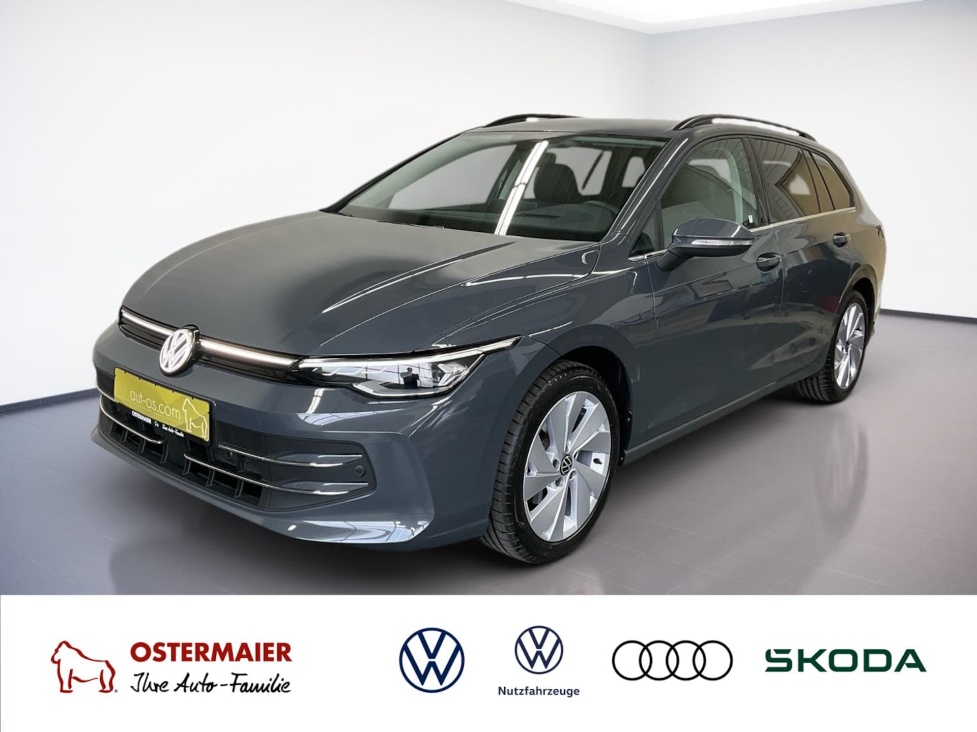 Volkswagen Golf Variant Style