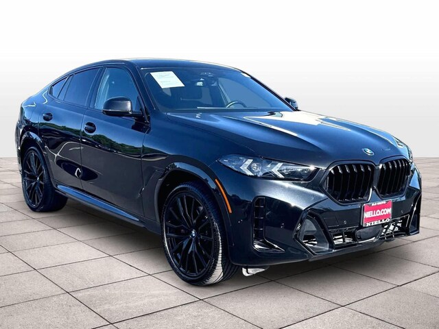 2025 BMW X6