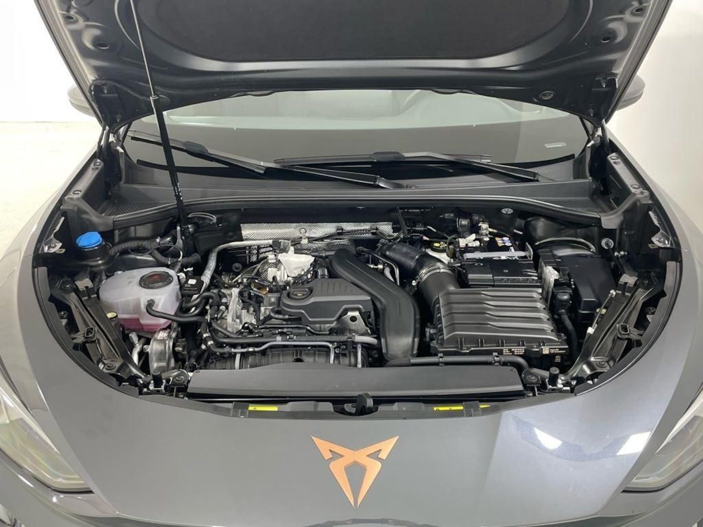 CUPRA Terramar 1.5 eTSI DSG 110 kW (150 CV) — photo 15