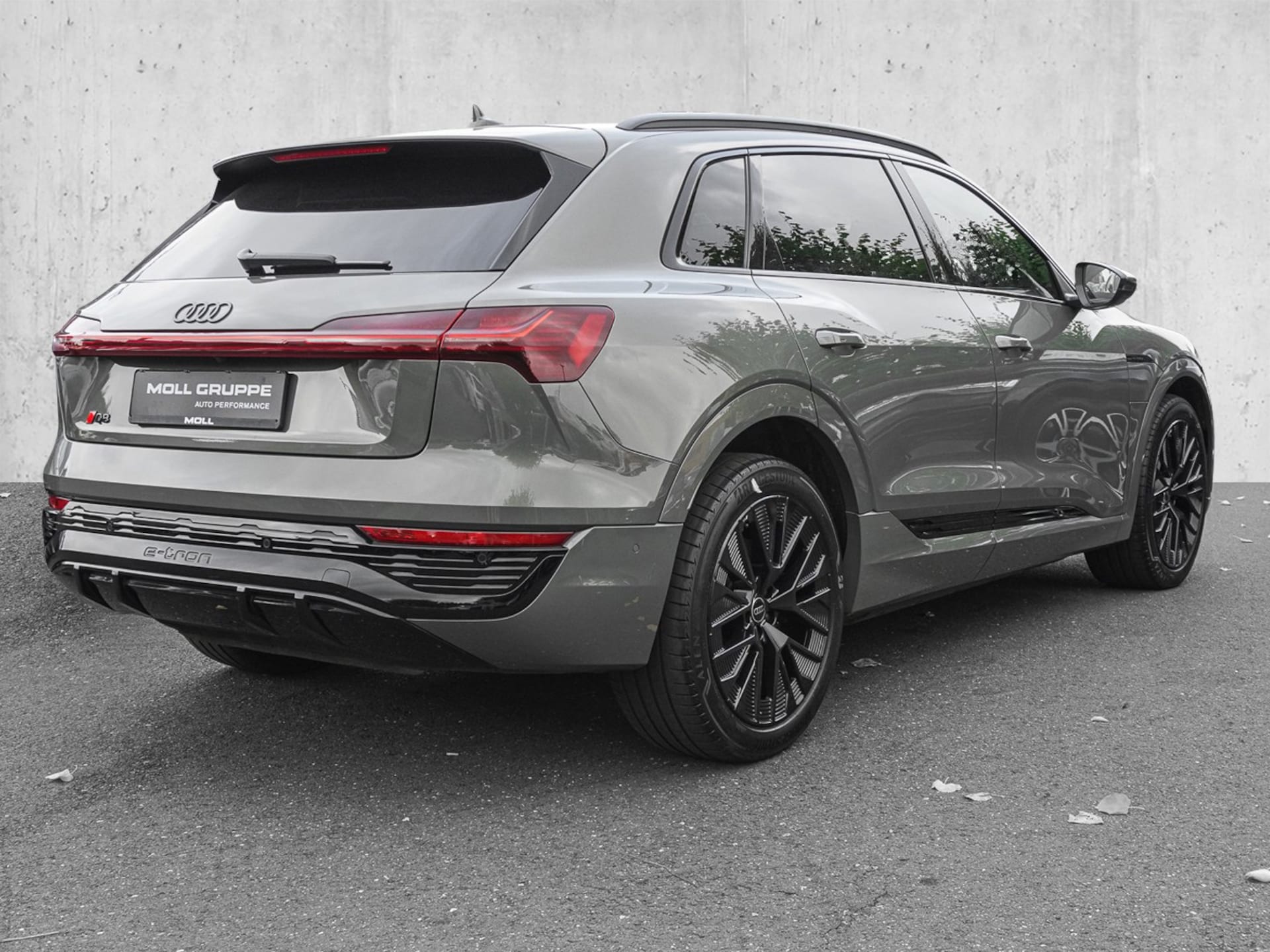 Audi Q8 e-tron S line