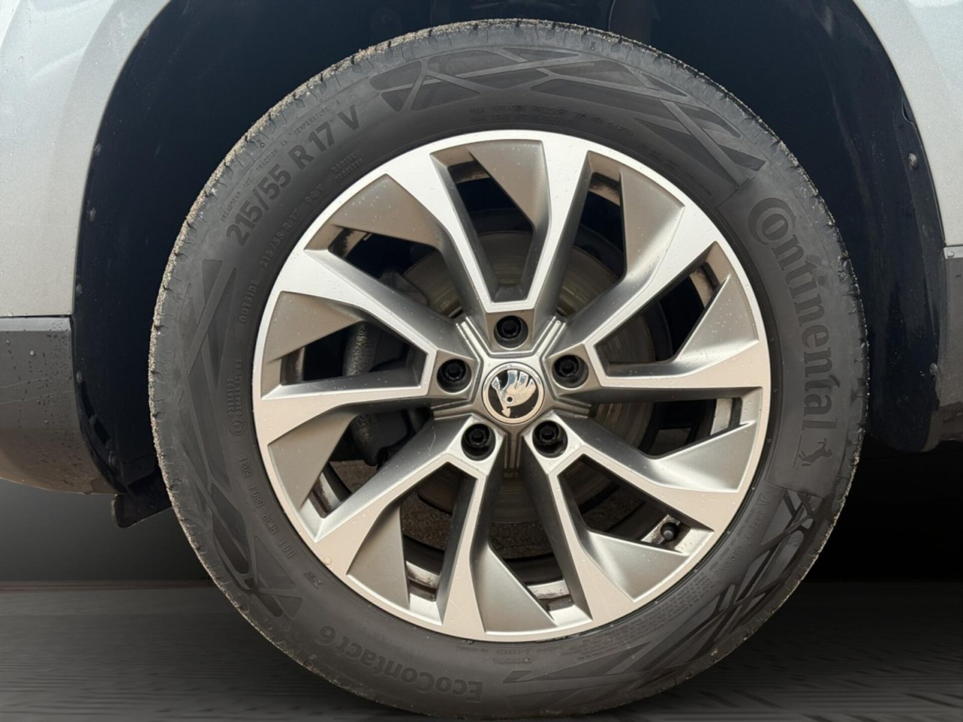 Skoda Karoq Style