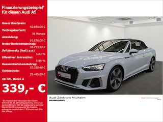 erstes Vorschaubild