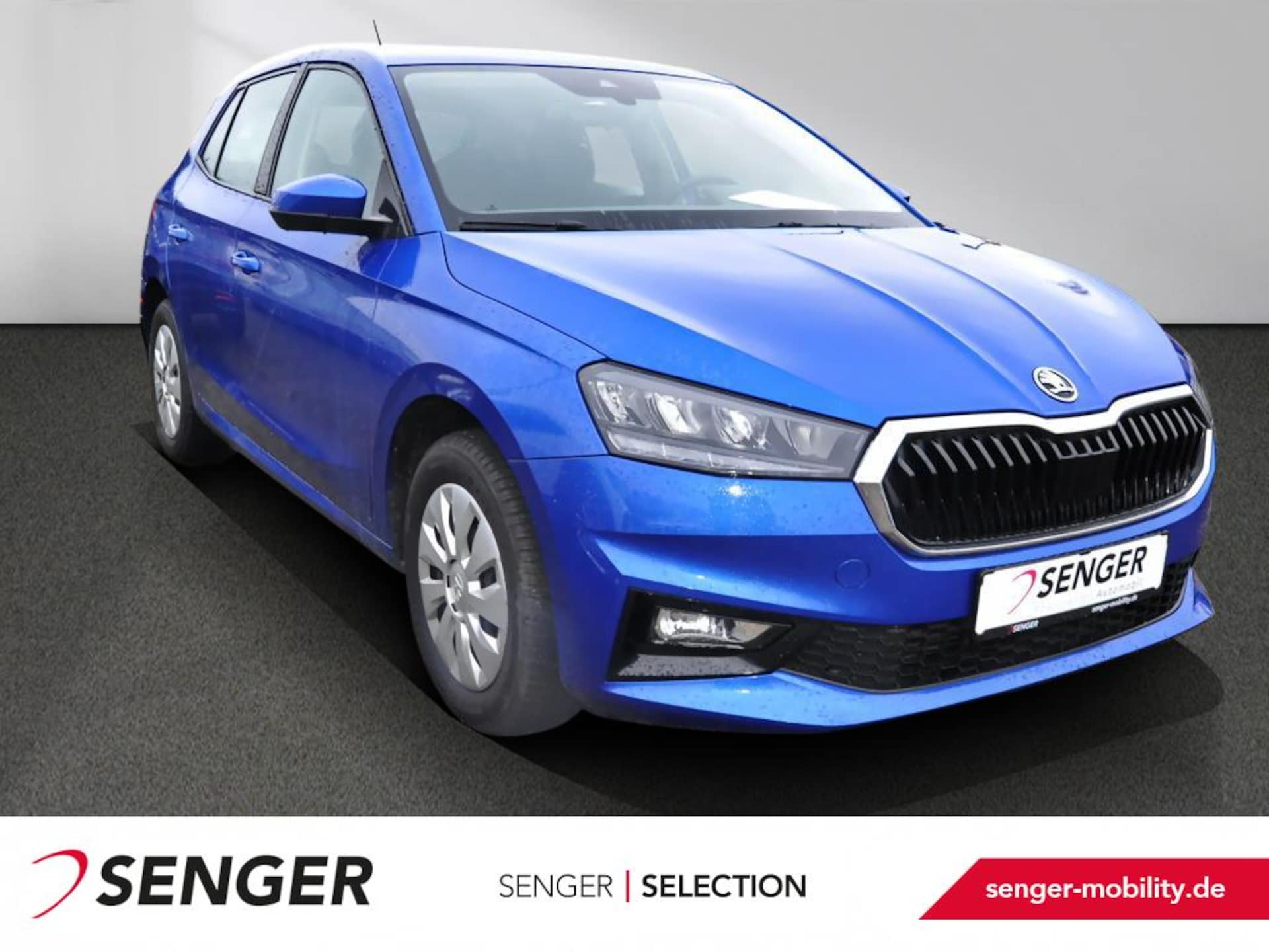 Skoda Fabia Selection