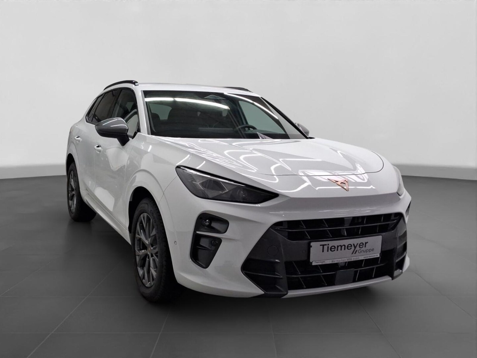 CUPRA Terramar – Bild 3