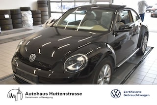 erstes Vorschaubild