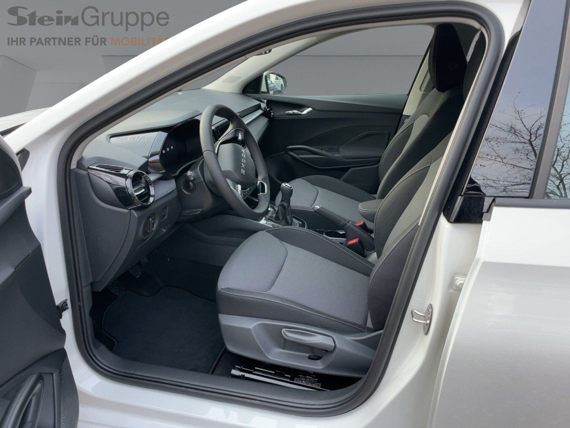 Skoda Fabia Selection