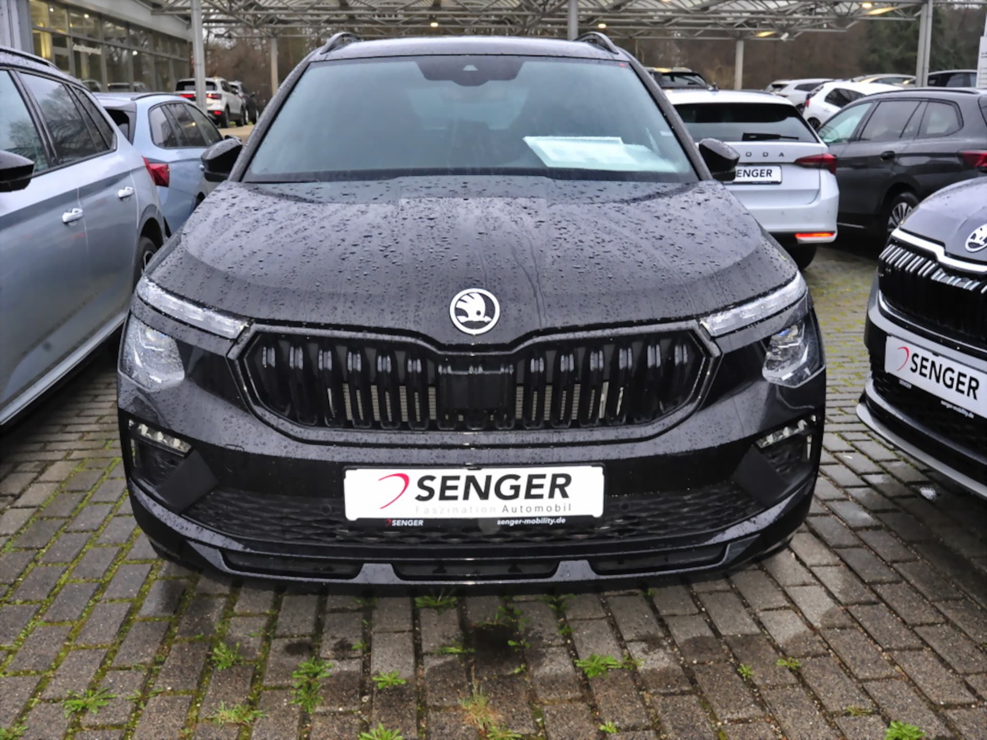 Skoda Kamiq Monte Carlo