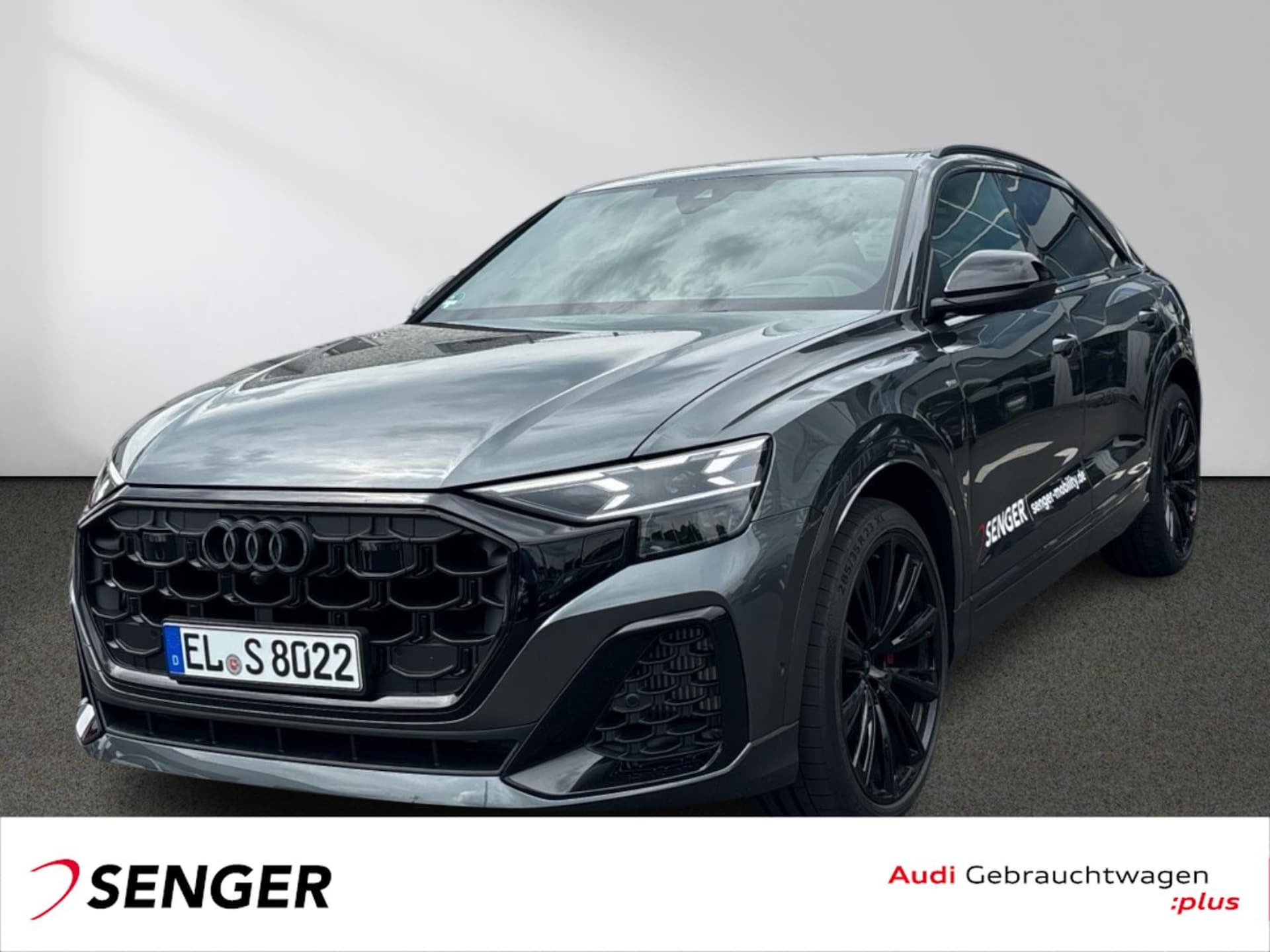 Audi Q8 SUV TFSI e