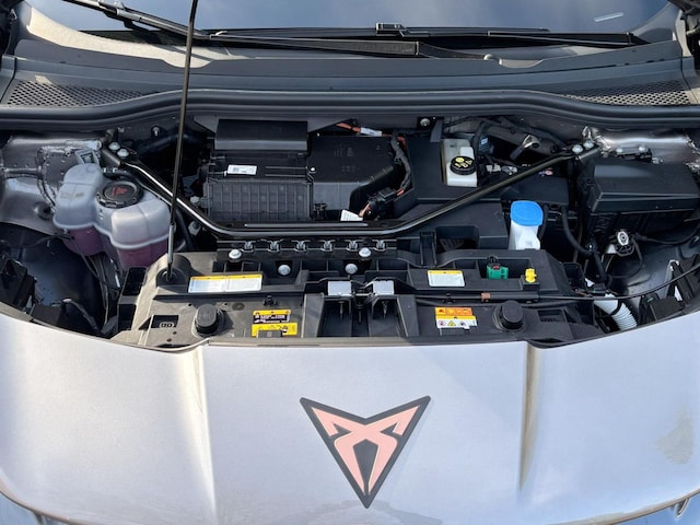 Bild des Autos 13