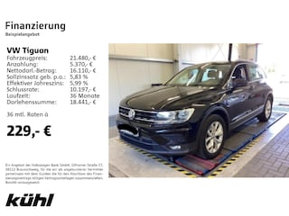 zweites Vorschaubild
