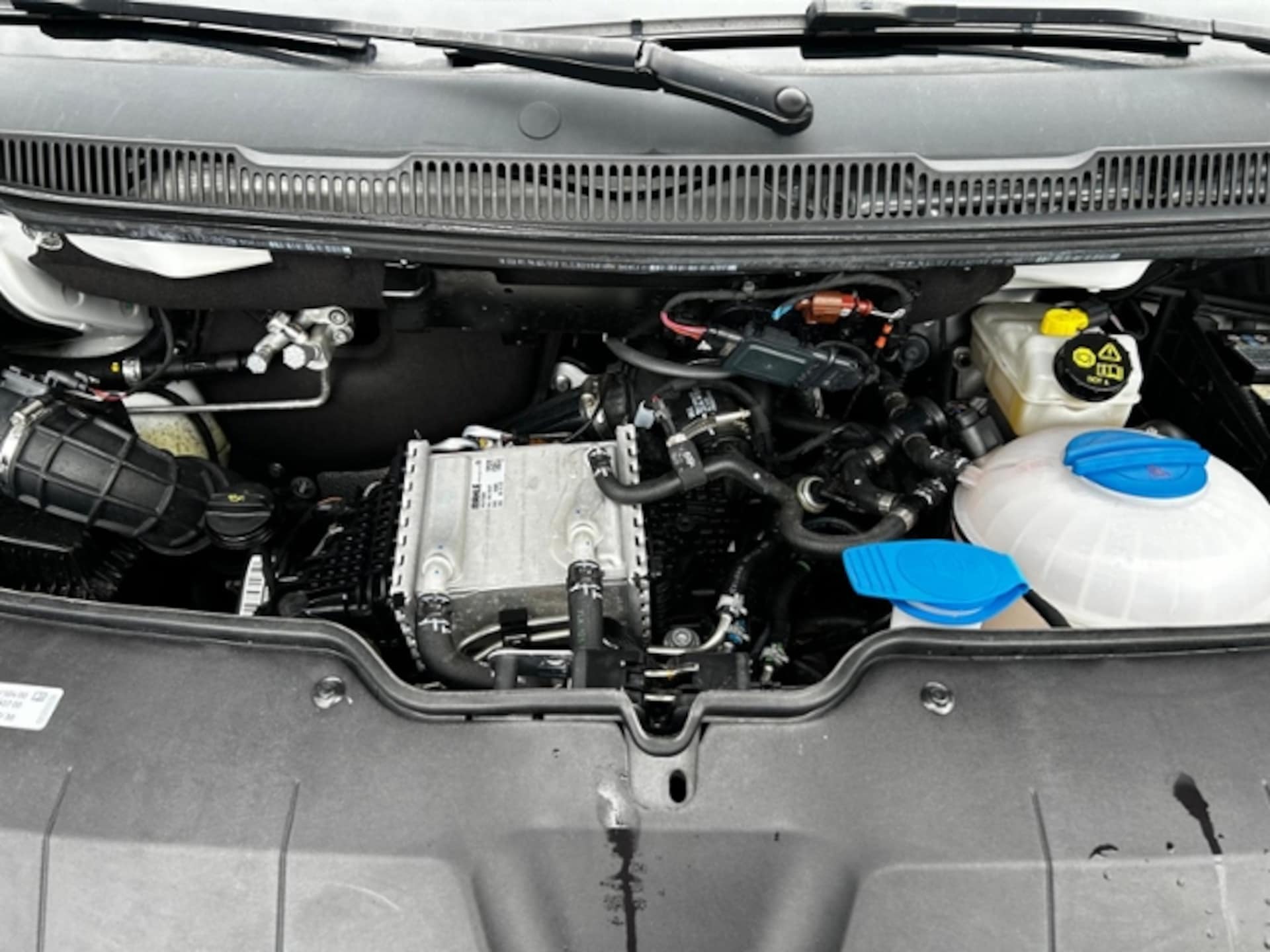 Volkswagen T6.1 Transporter Kasten kurzer Radstand